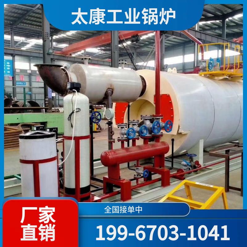 万宁燃煤导热油锅炉